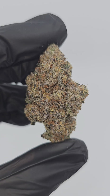 peanut butter breath | exotic indoor | flower