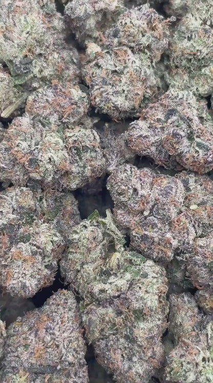candy gas | boutique tier | flower