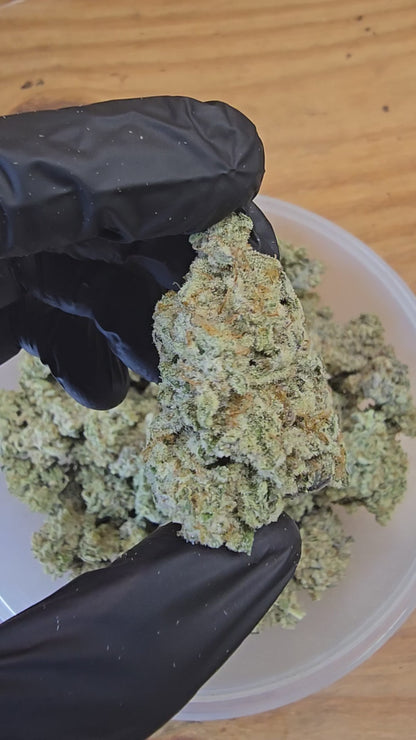 mac 1 | exotic indoor | flower