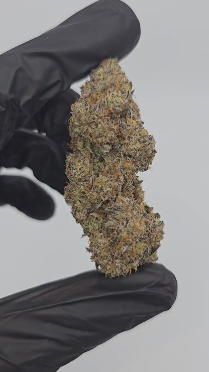 peanut butter breath | exotic indoor | flower