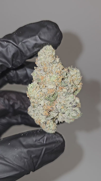 sour diesel | boutique tier | flower