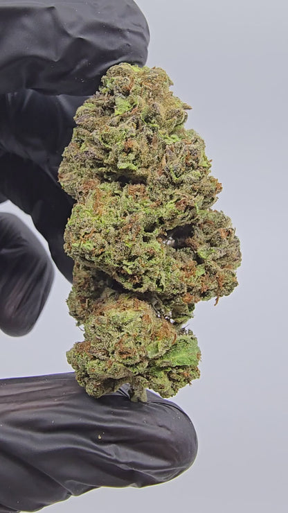 jealousy | boutique tier | flower