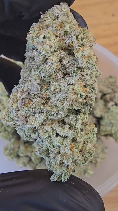 mac 1 | exotic indoor | flower