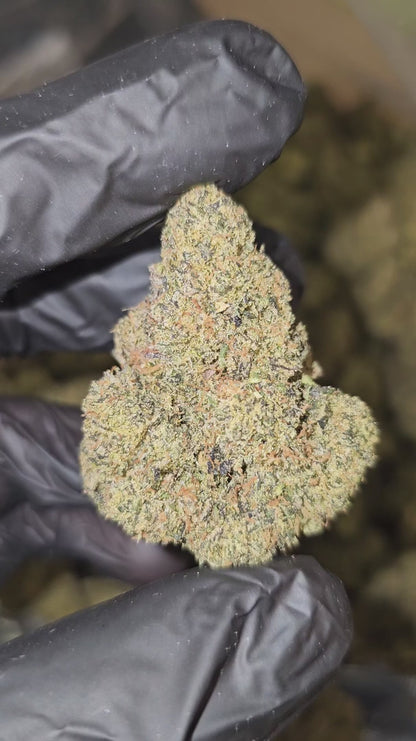 cherry mimosa | top tier | flower | 1 oz