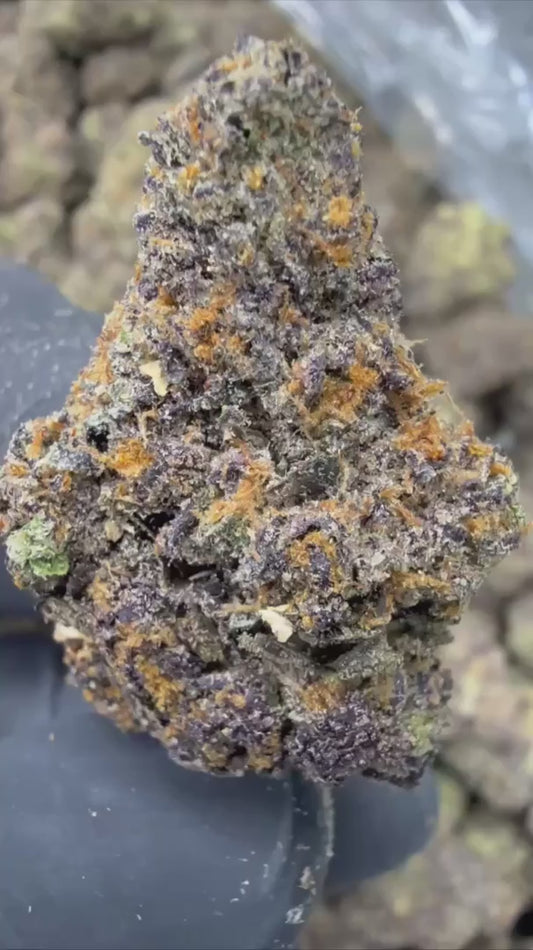 pink runtz | exotic indoor | flower