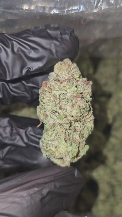 papaya pie | top tier | flower