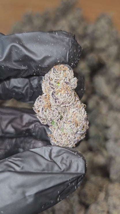 blue runtz | exotic indoor | flower