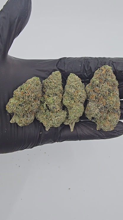 lemon cherry gelato | boutique tier | flower