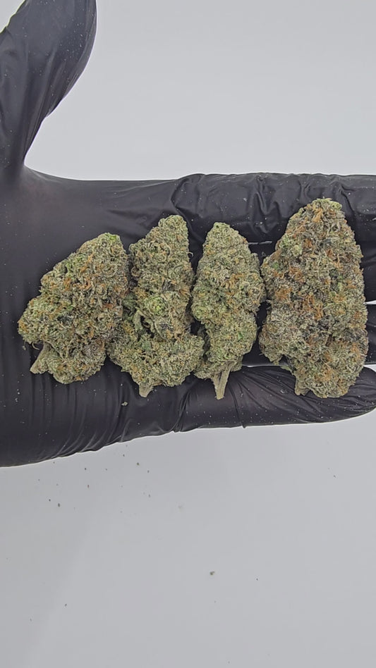 lemon cherry gelato | boutique tier | flower