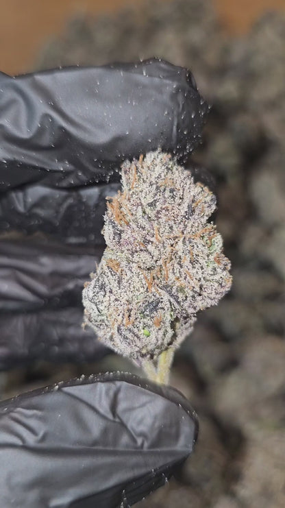 blue runtz | exotic indoor | flower