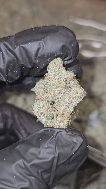 sour diesel | boutique tier | flower