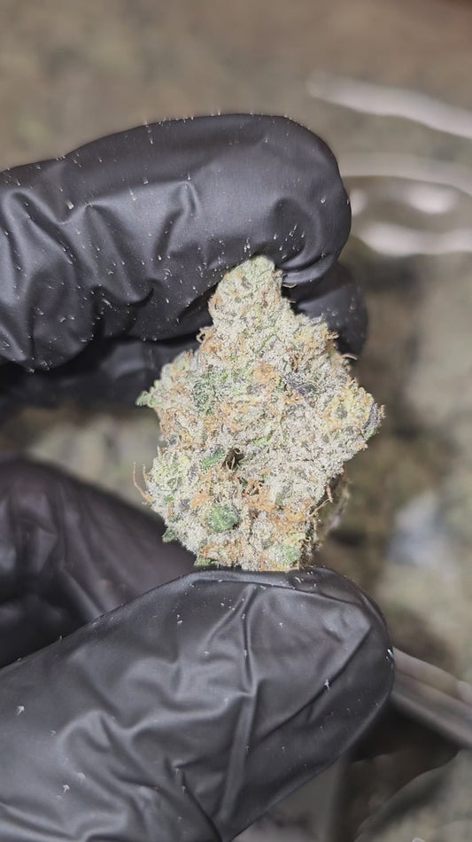 sour diesel | boutique tier | flower