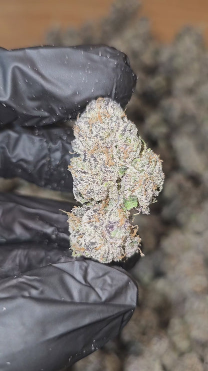 blue runtz | exotic indoor | flower