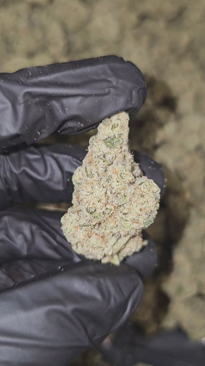 cap junky | boutique tier | flower