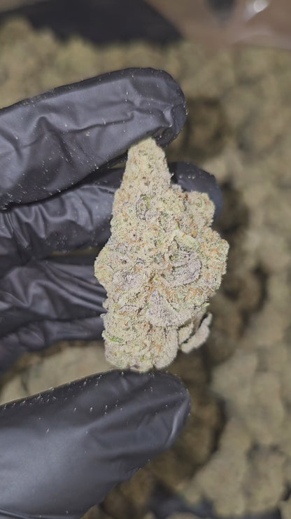 cap junky | boutique tier | flower