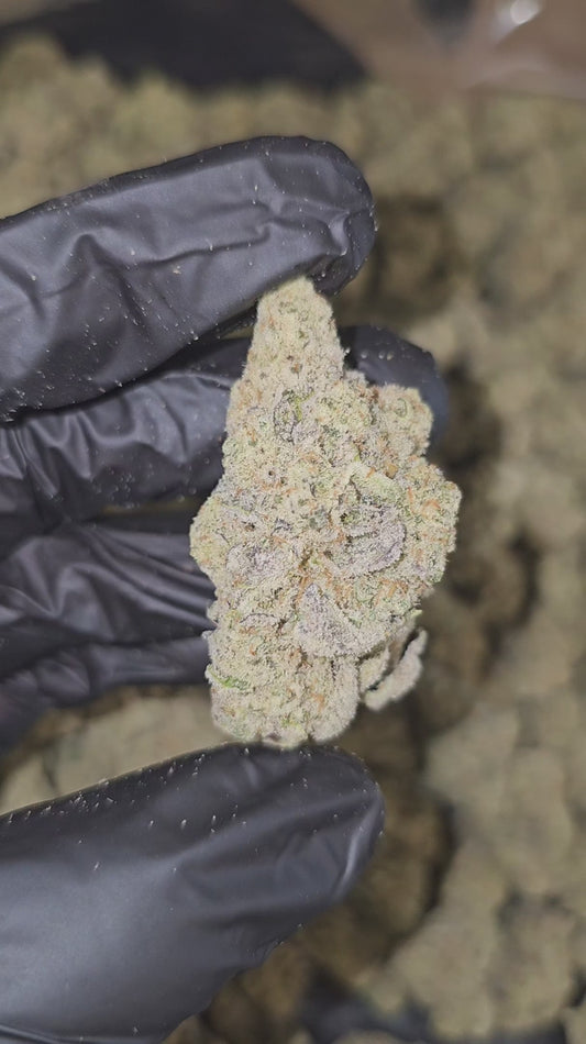 cap junky | boutique tier | flower