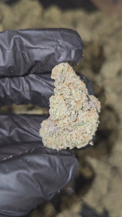 cap junky | boutique tier | flower