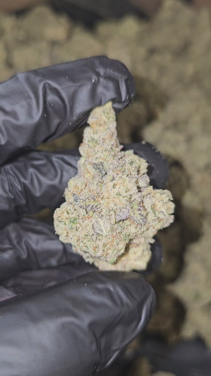 cap junky | boutique tier | flower