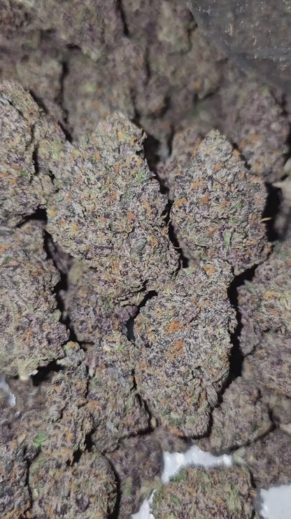 toad venom | boutique tier | flower