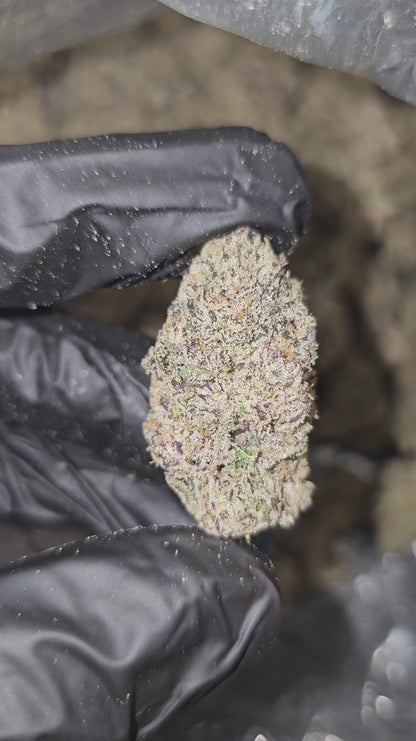 london pound cake | boutique tier | flower