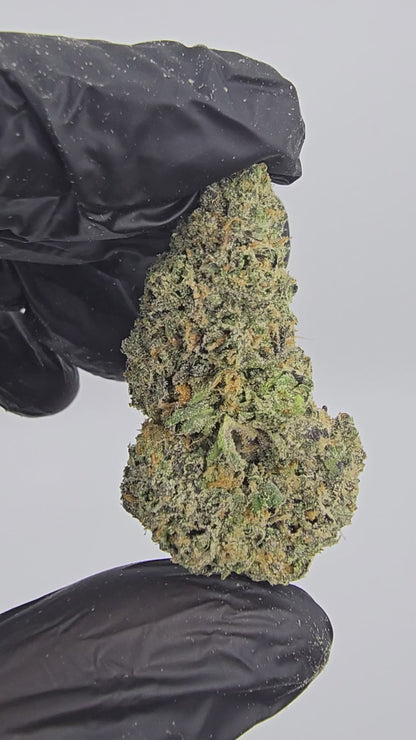 lemon cherry gelato | boutique tier | flower